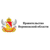 Правительство города